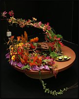 www.floristic.ru - . 13-     (,26-28  2010 .)