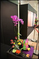 www.floristic.ru - . 13-     (,26-28  2010 .)
