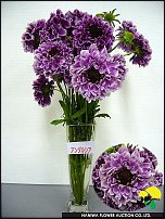 www.floristic.ru - .  .