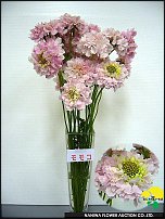 www.floristic.ru - .  .