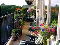 www.floristic.ru - Флористика. Балконный фитодизайн
