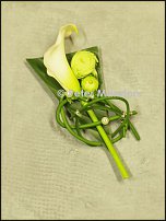 www.floristic.ru - .  .