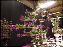 www.floristic.ru - . FLORALIES in Ghent, Belgium 2010