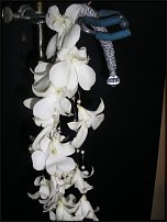 www.floristic.ru - .    