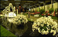 www.floristic.ru - . FLORALIES in Ghent, Belgium 2010