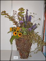 www.floristic.ru - .    (, - )