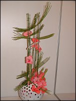 www.floristic.ru - .    (, - )