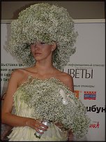 www.floristic.ru - .    (, - )