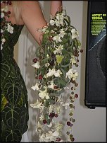 www.floristic.ru - .    (, - )