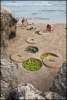 www.floristic.ru - . Land Art