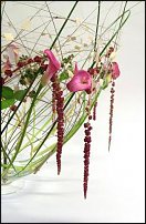 www.floristic.ru - . Gregor Lersch