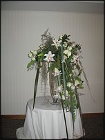 www.floristic.ru - . Gregor Lersch