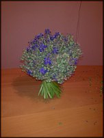 www.floristic.ru - .  