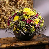 www.floristic.ru - . "Just Chrysanthemum"  )