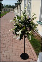 www.floristic.ru - .  .