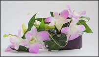 www.floristic.ru - .  .