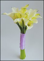 www.floristic.ru - .  .