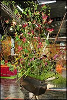www.floristic.ru - . 16-     27-30.09.2007 . ().