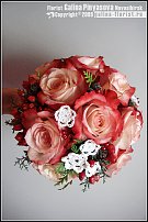 www.floristic.ru - .  .