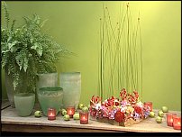 www.floristic.ru - .   , ,   