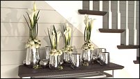 www.floristic.ru - .   , ,   