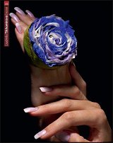 www.floristic.ru - . 