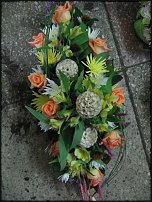 www.floristic.ru - .  