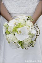 www.floristic.ru - .  .