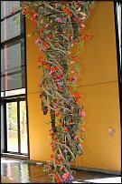 www.floristic.ru - . 16-     27-30.09.2007 . ().