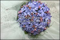 www.floristic.ru - .  .