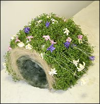 www.floristic.ru - .   ""