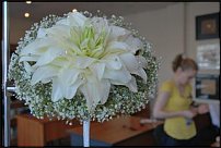 www.floristic.ru - .   ""  -