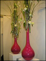 www.floristic.ru - . !!!!!