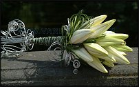 www.floristic.ru - . 16-     27-30.09.2007 . ().