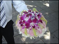 www.floristic.ru - . 