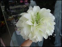 www.floristic.ru - . 