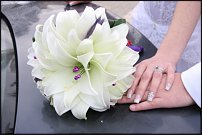 www.floristic.ru - . 