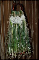 www.floristic.ru - .    - 7-9 