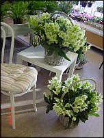 www.floristic.ru - .       - ?