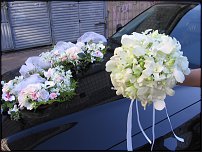 www.floristic.ru - .    