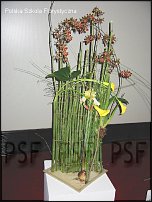 www.floristic.ru - . Gregor Lersch