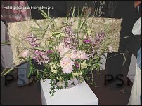 www.floristic.ru - . Gregor Lersch