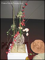 www.floristic.ru - . Gregor Lersch