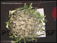 www.floristic.ru - . Gregor Lersch
