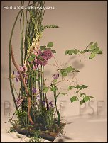 www.floristic.ru - . Gregor Lersch