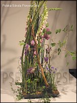 www.floristic.ru - . Gregor Lersch