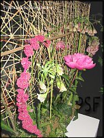 www.floristic.ru - . Gregor Lersch