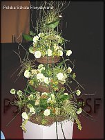 www.floristic.ru - . Gregor Lersch