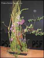 www.floristic.ru - . Gregor Lersch