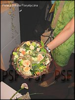 www.floristic.ru - . Gregor Lersch